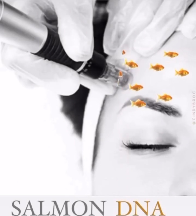 Add Samon DNA