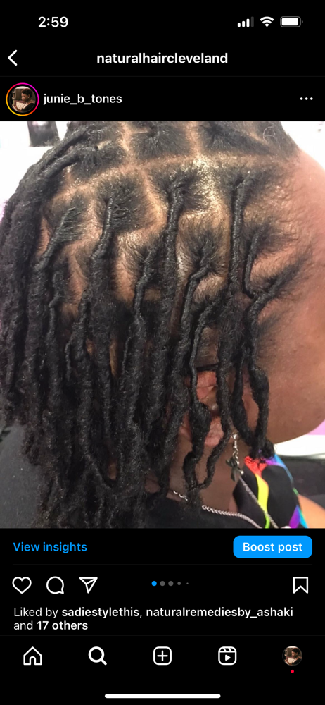 Starter Locs