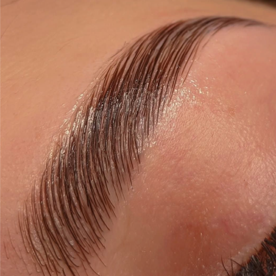 EYEBROW LAMINATION + WAX at The Glo Haus Atlanta in Atlanta, GA