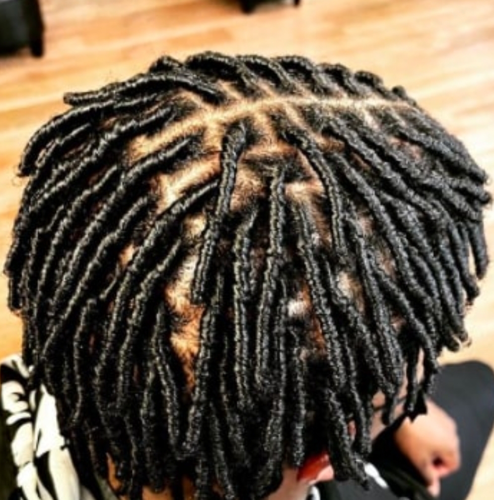 Starter Loc's