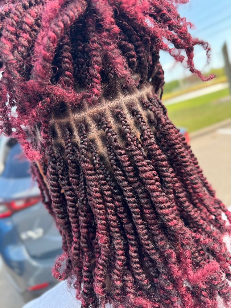 Nubian Twist Medium (Short) 6-8”
