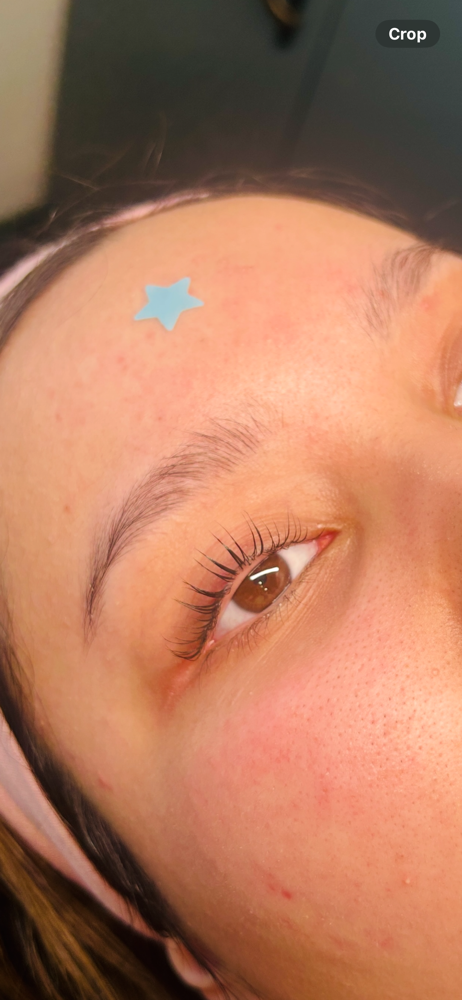 Lash Tint