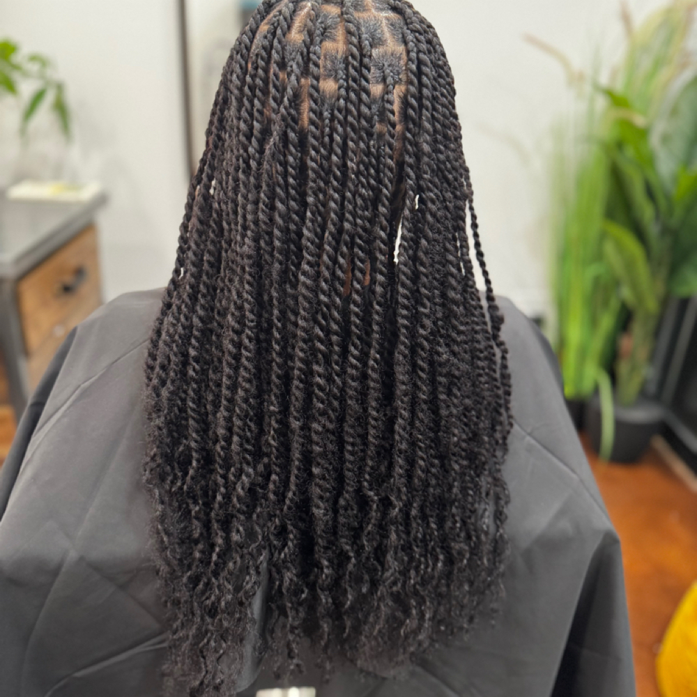 2 Strand Mini Twist