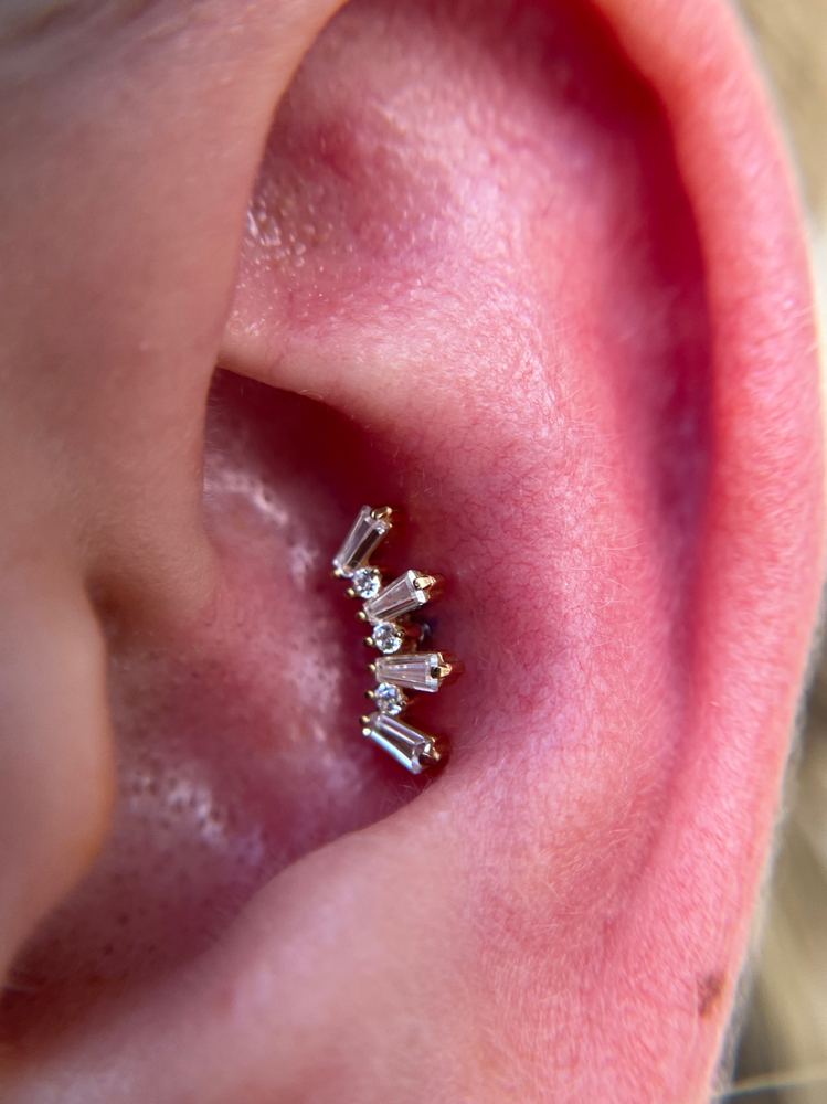 Conch