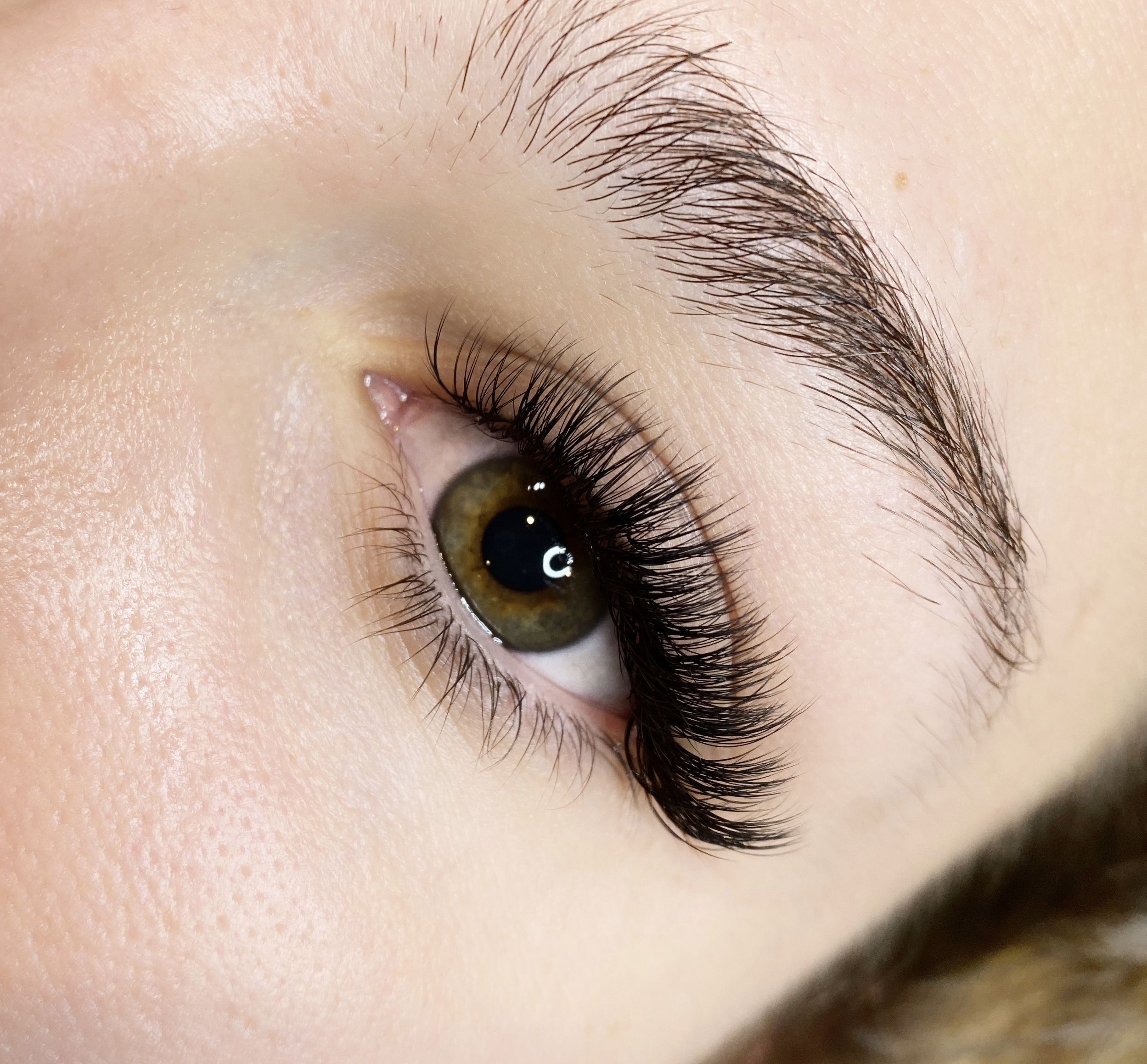 Lashes Hybrid
