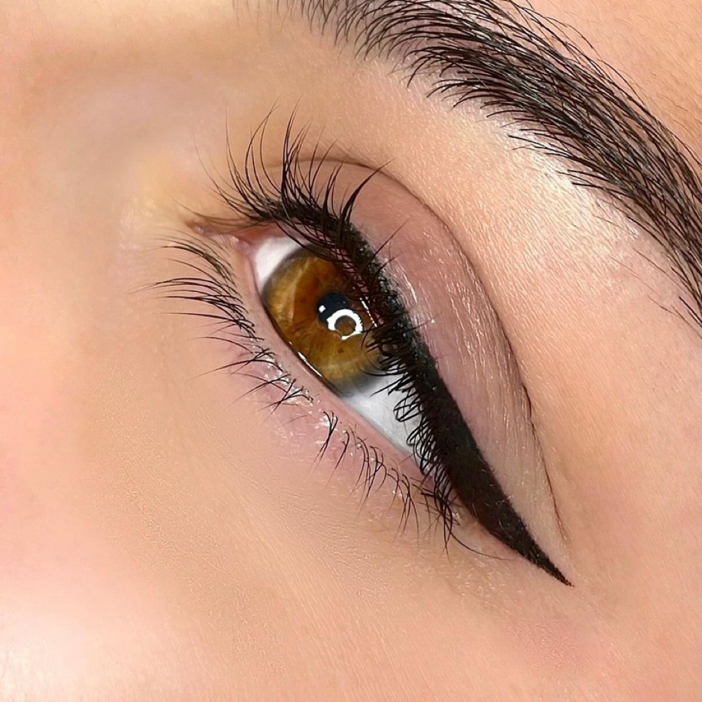 Winged Eyeliner ( Top Only ) at Nina Tran - Beauty & Plus in Tyler, TX