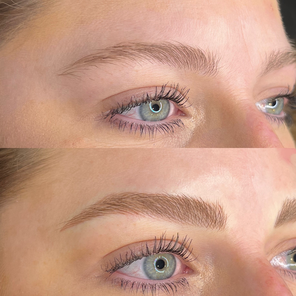 Microblading Annual Touch Up