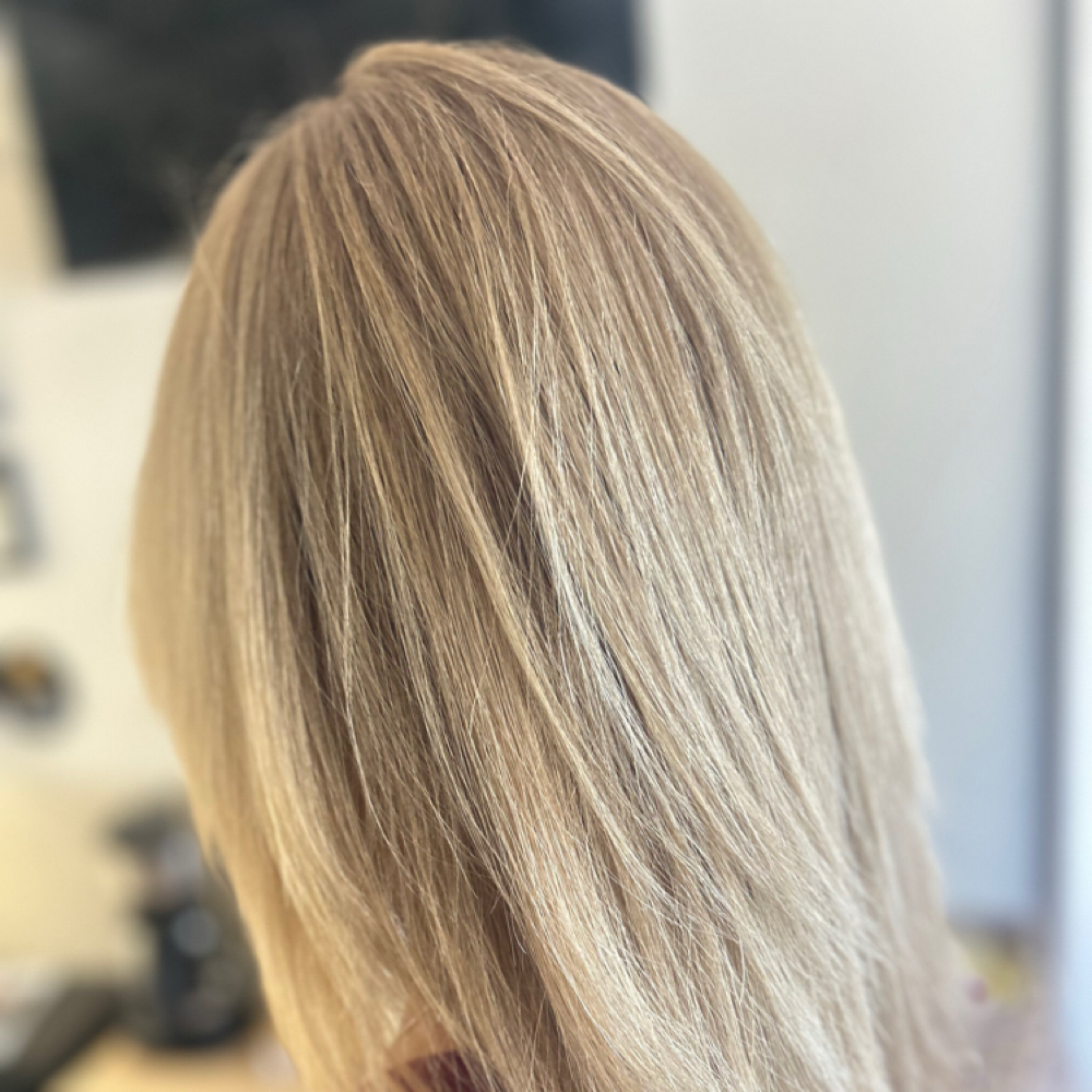 Root Refresh at Willow & Ivory Hair Studio in Largo, FL