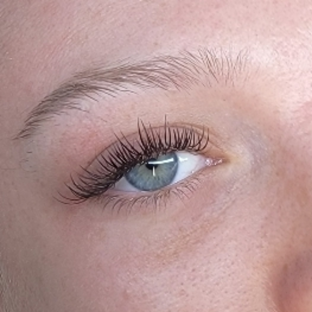Classic Lash Fill