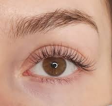Classic Lash Set