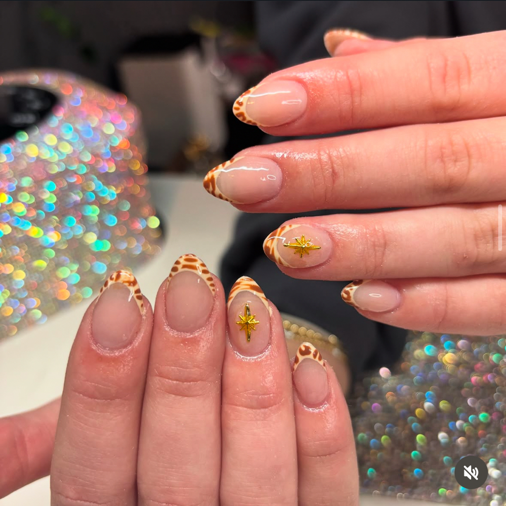 Short Full Set