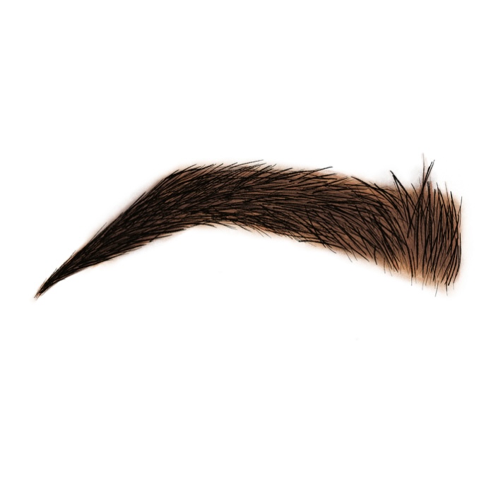 Brow Tint