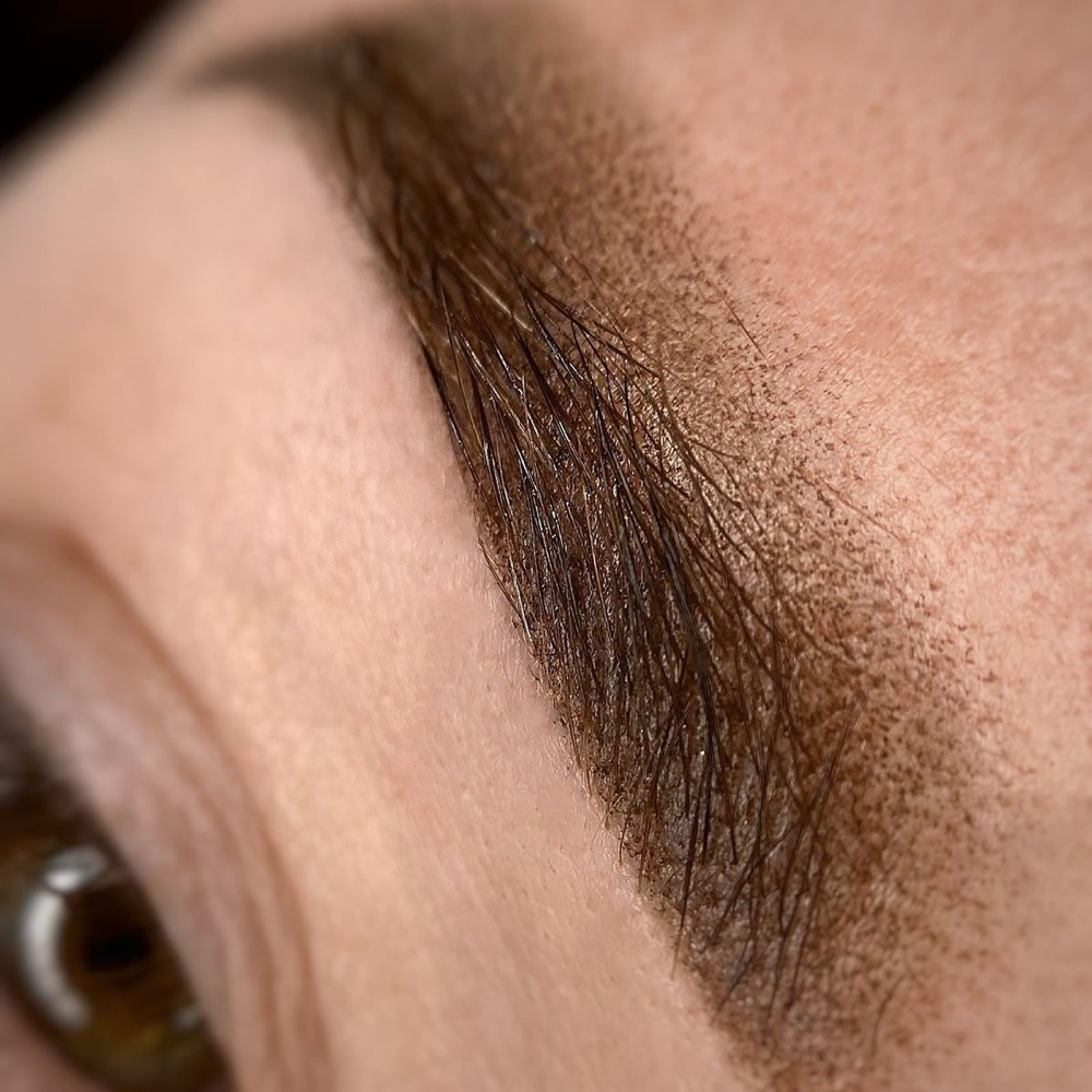 BROW COLOR REVIVAL at Aesthetics by Isela in River Grove, IL