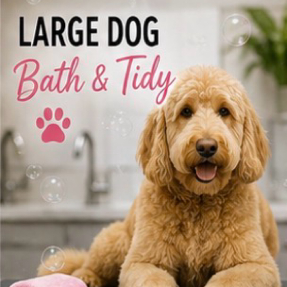 Large Dog Bath & Tidy at Pampered Pups By Helen in Chino Hills, CA