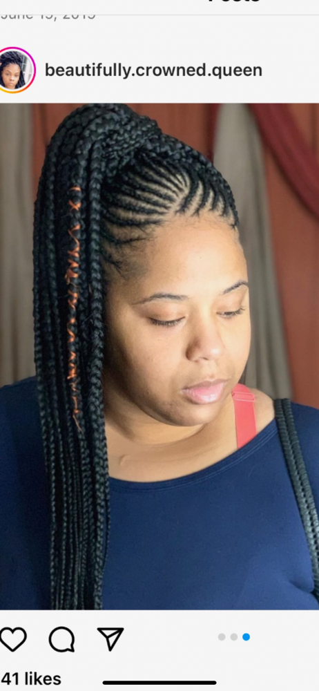 Feeder Braid Ponytsil