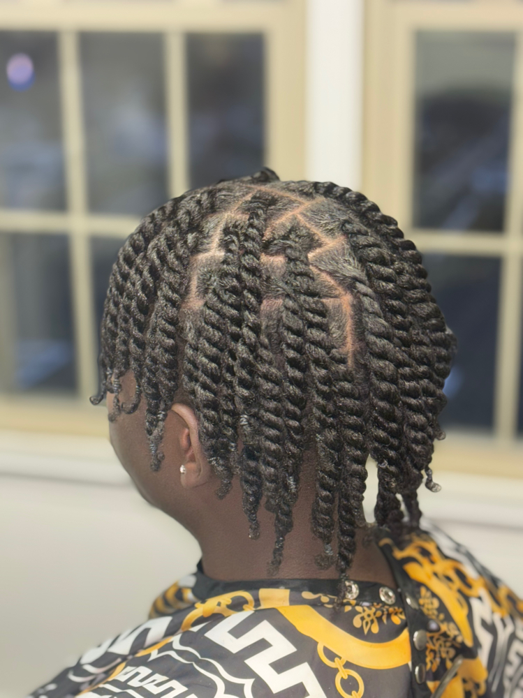 Two Strand Twist