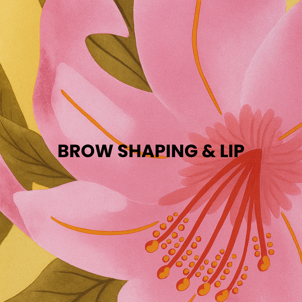 Brow Shaping & Lip at Archemy Brows & Beauty in Anchorage, AK