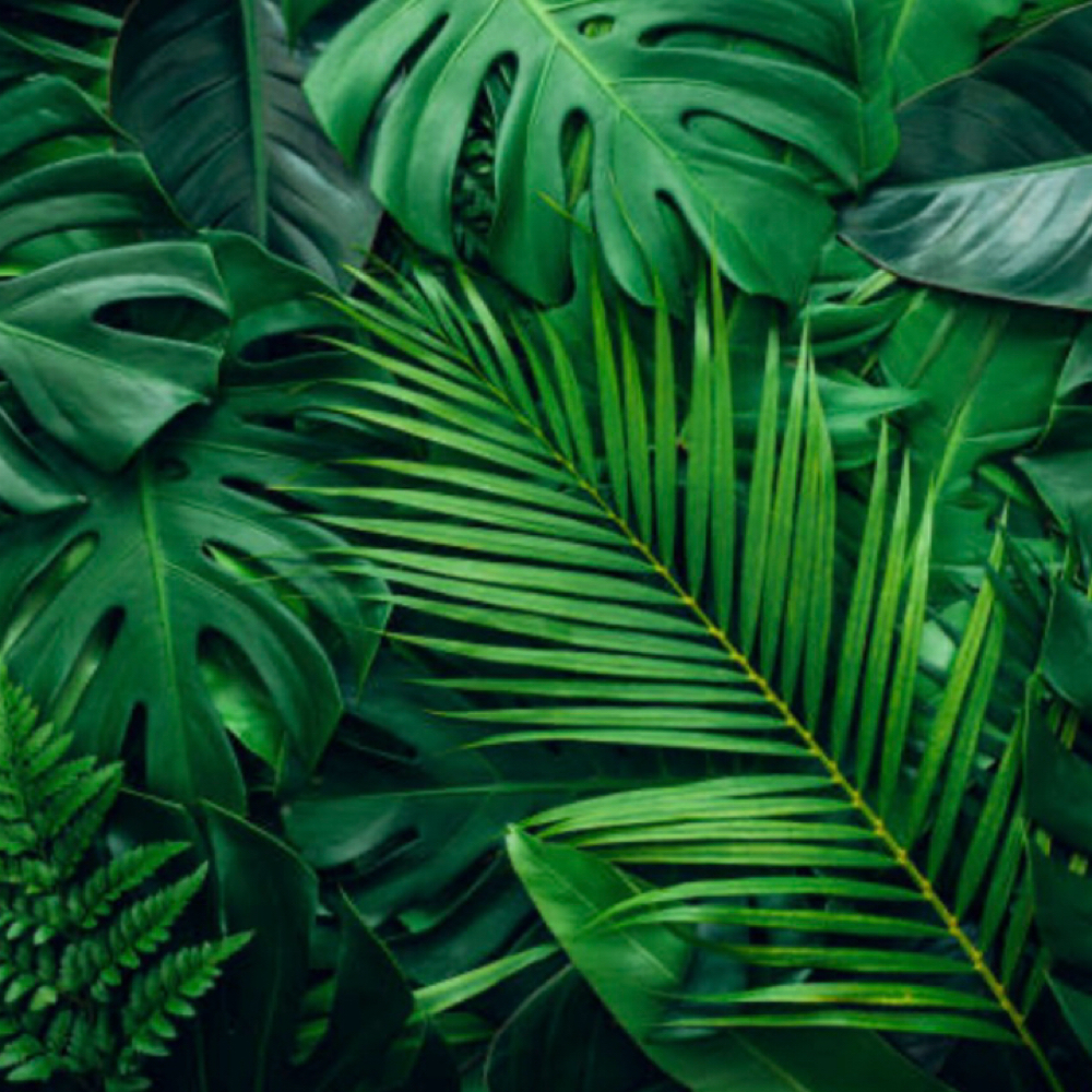 Quick Weave at Ashley’s Hair Haven in Fredericksburg, VA