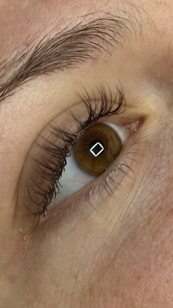 Brown classic lashes