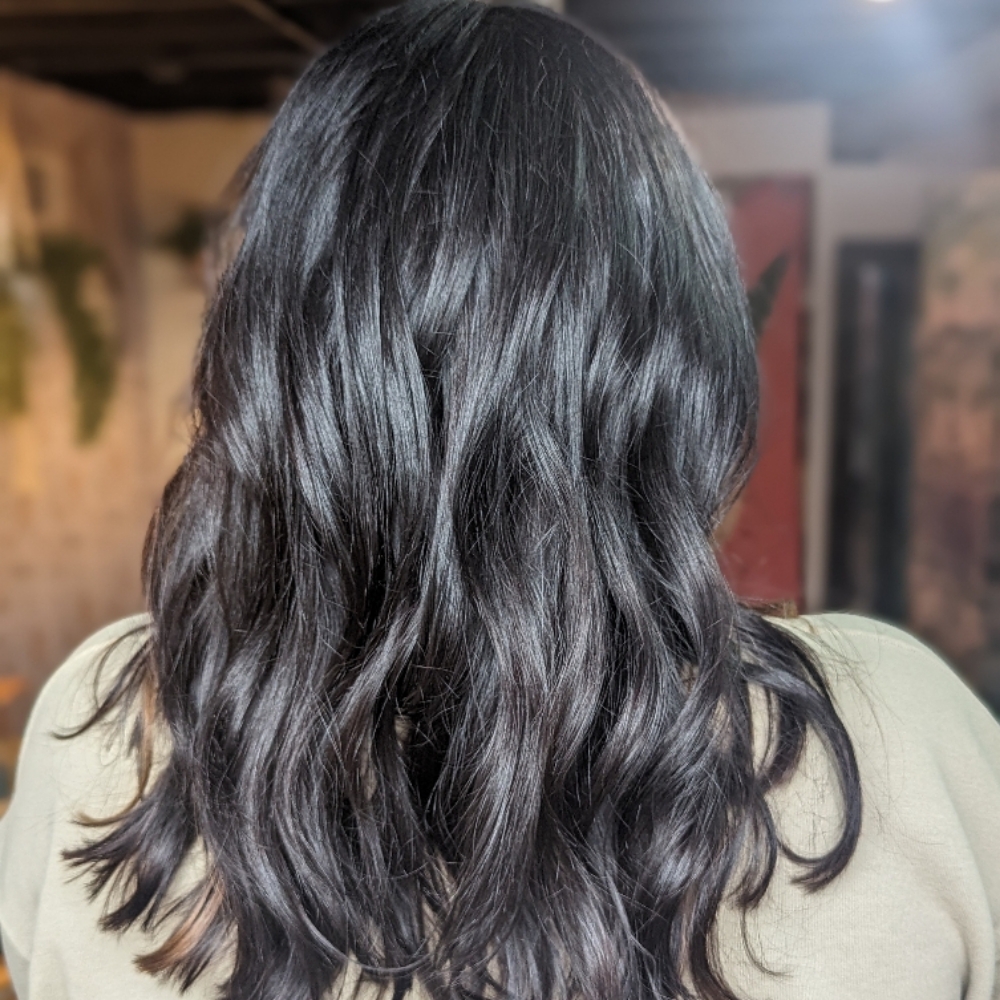 All Over Color at Jealousy Salon in Pittsburgh, PA