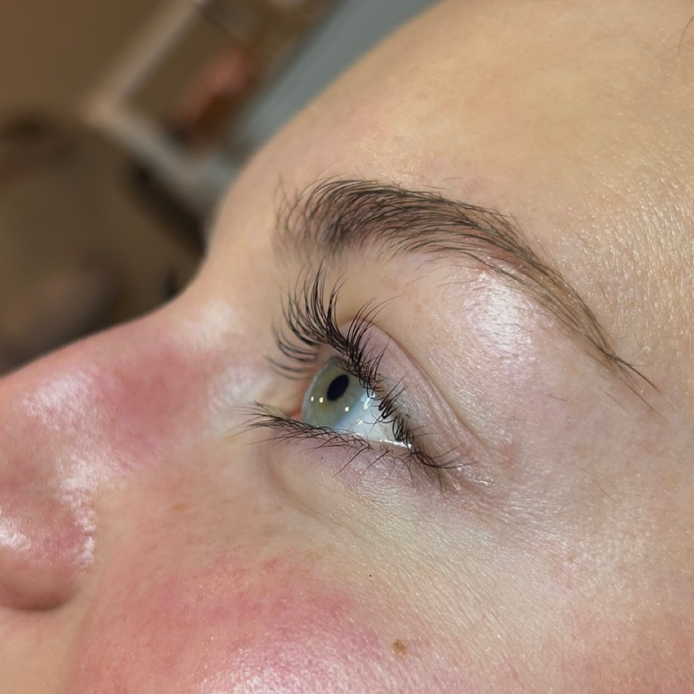 lash lift & brow lamination combo✨ at Premier Lash Spa & Academy in Effingham, IL