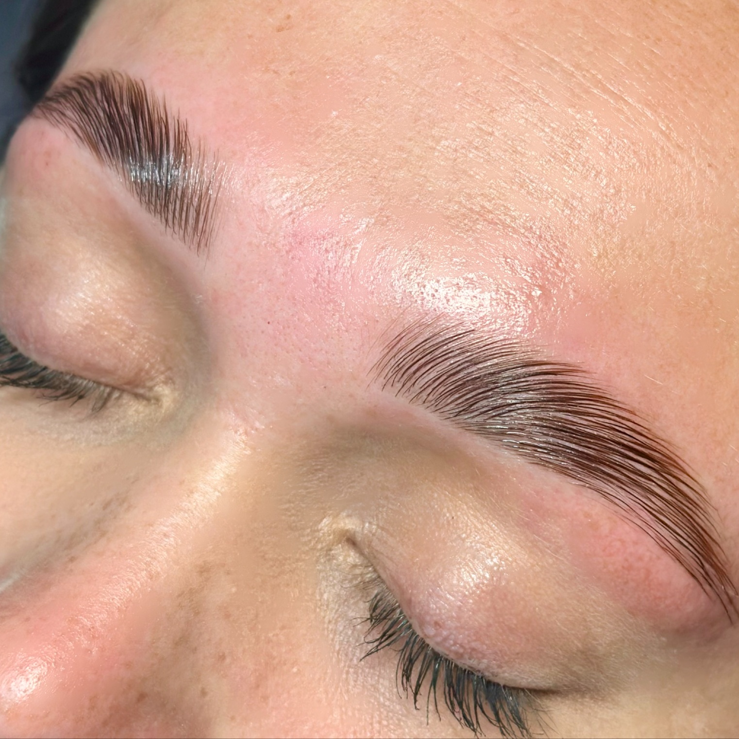 Brow Lamination with Wax + Tint at Maddie’s Beauty Lounge in Fort Walton Beach, FL