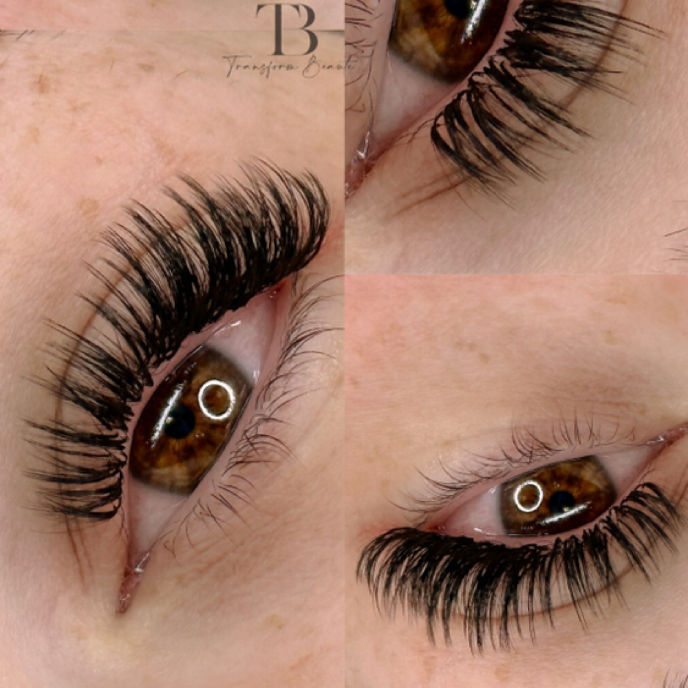 Lash Services - In person Consultation/Patch Test at Transform Beaute in Hoffman Estates, IL