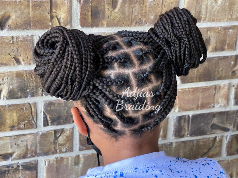 Kids Knotless Box Braids