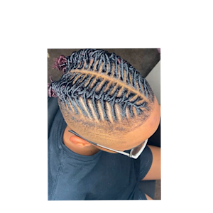 Locs & Twist at Braids & Stylez By Ray in Garland, TX