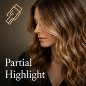 Partial Highlight at The Style Studio by Syd in Parsippany, NJ