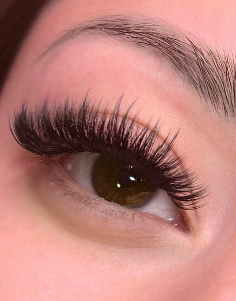 Volume Lashes