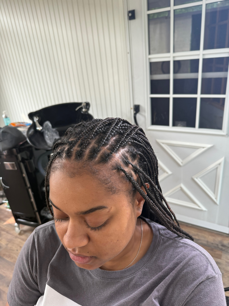 Braid Touch Up- 4 Rows at Anointed Touch in Jetersville, VA