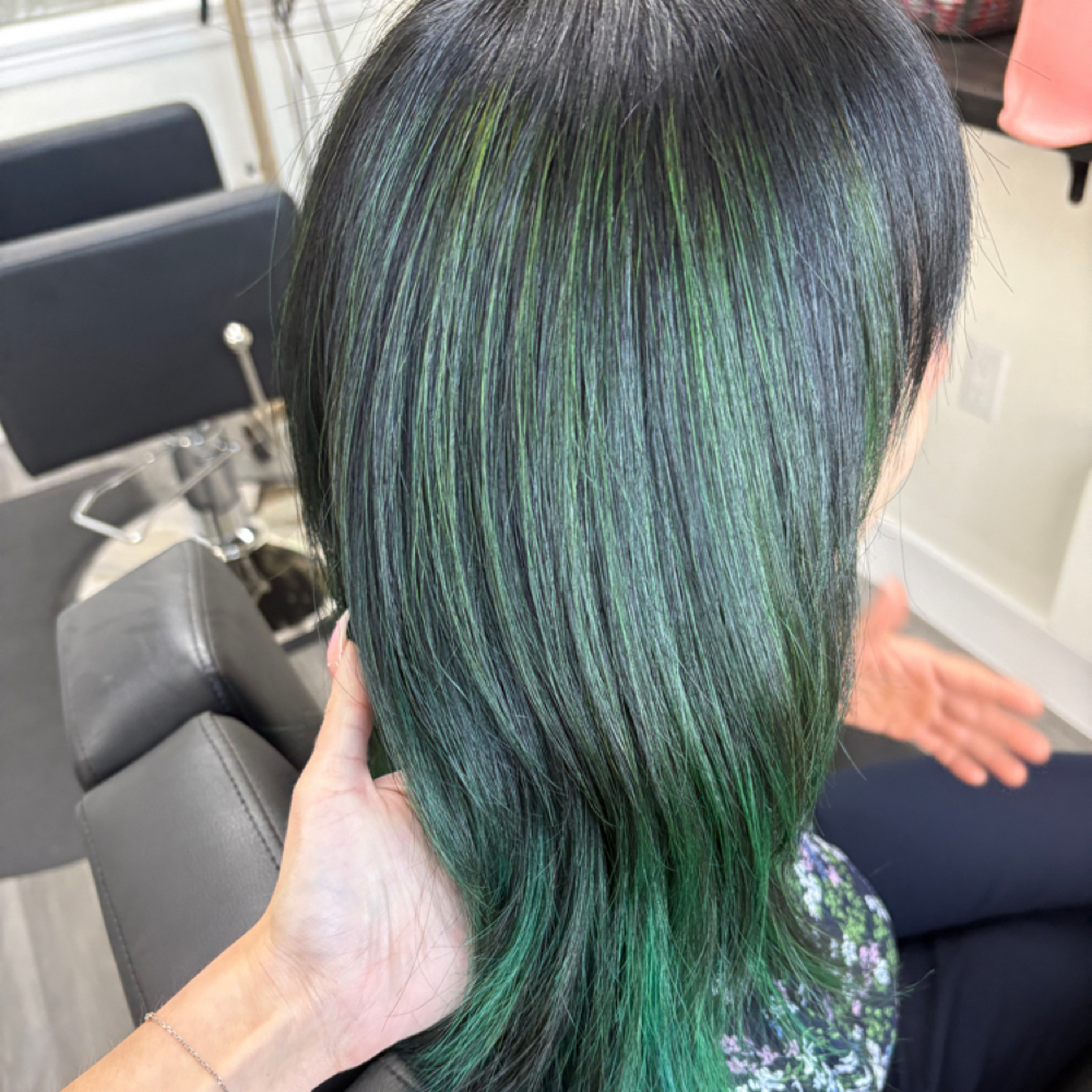 Vivid Color Service at Nicole Mott Hair in Keller, TX