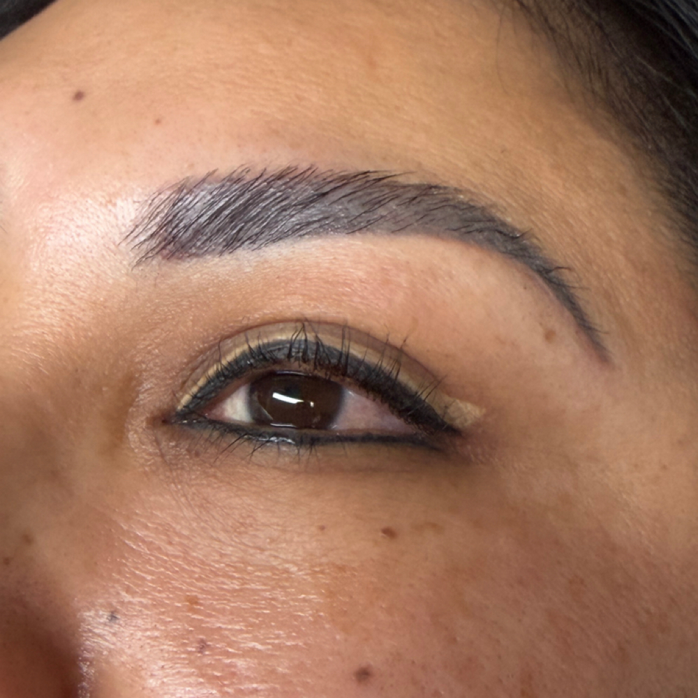 Brow Tint at The Lash Studio, LLC in North Branford, CT