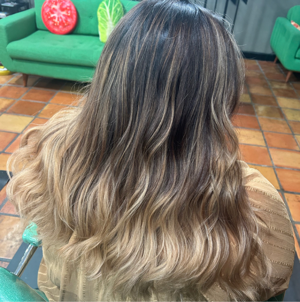 Balayage Or Foiliage at Wild Waves Studio in Oak Ridge, TN