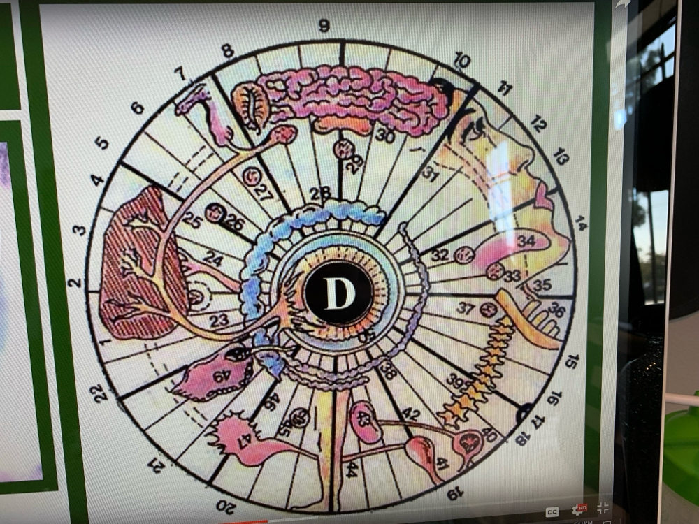 IRIDIOLOGY