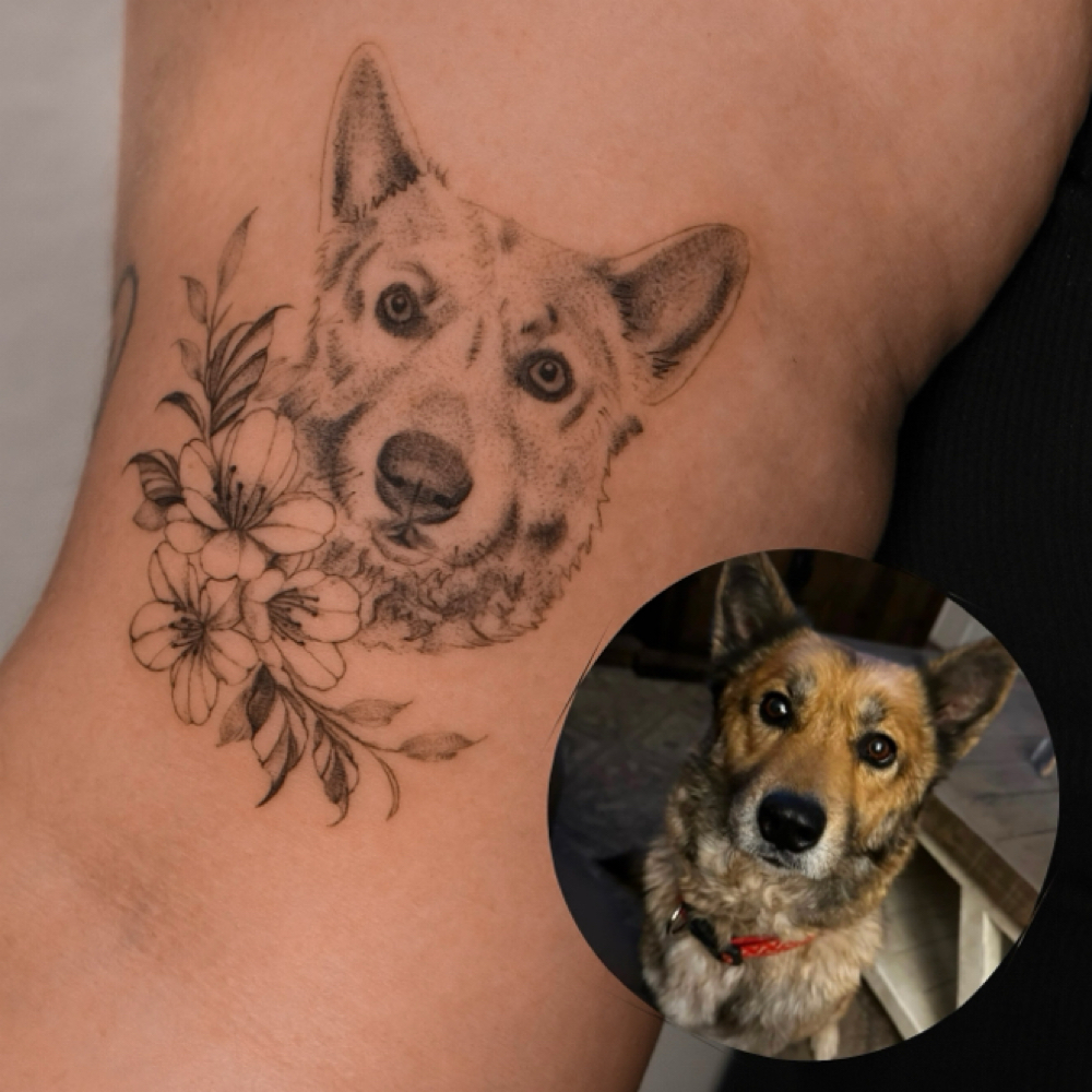 Micro Realism / Pet Portraits at Pretty Fine Studios in Thousand Oaks, CA