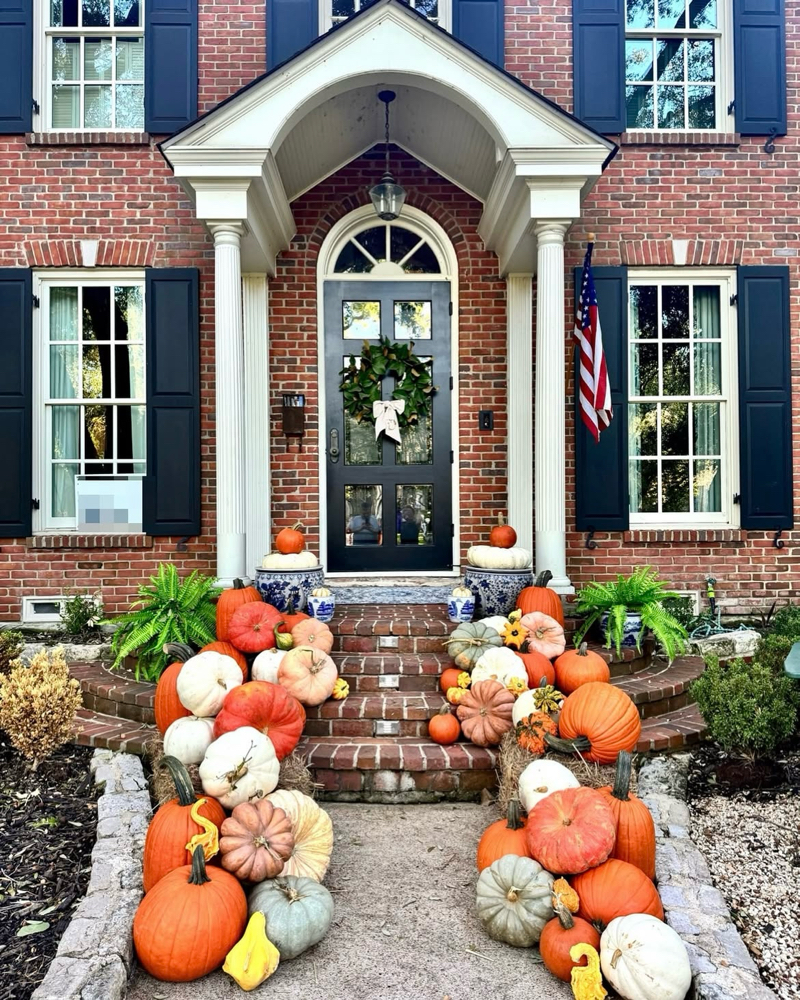 Popular Pumpkin Package