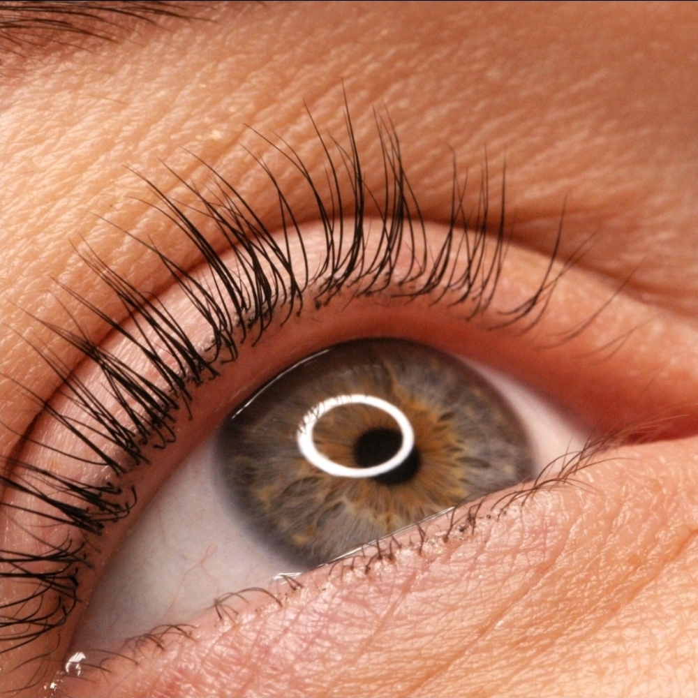 Eyelash Tint only at Muse Beauty Bar in Downingtown, PA