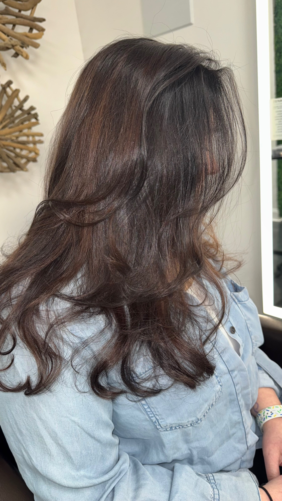 Touch Up + Gloss + Blowdry