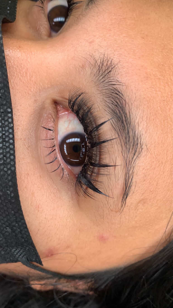 wispy /Medusa at Kay Spa & Brows in Tukwila, WA