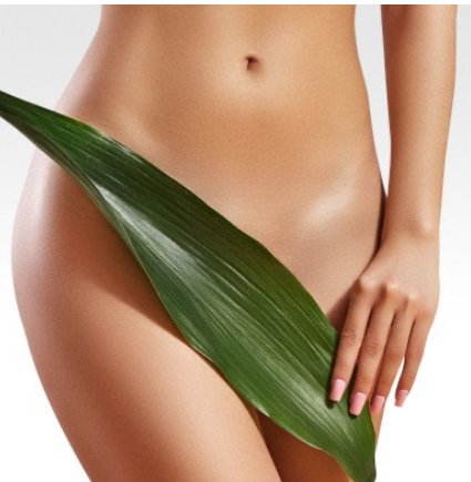 Brazilian ( No Butt Strips)