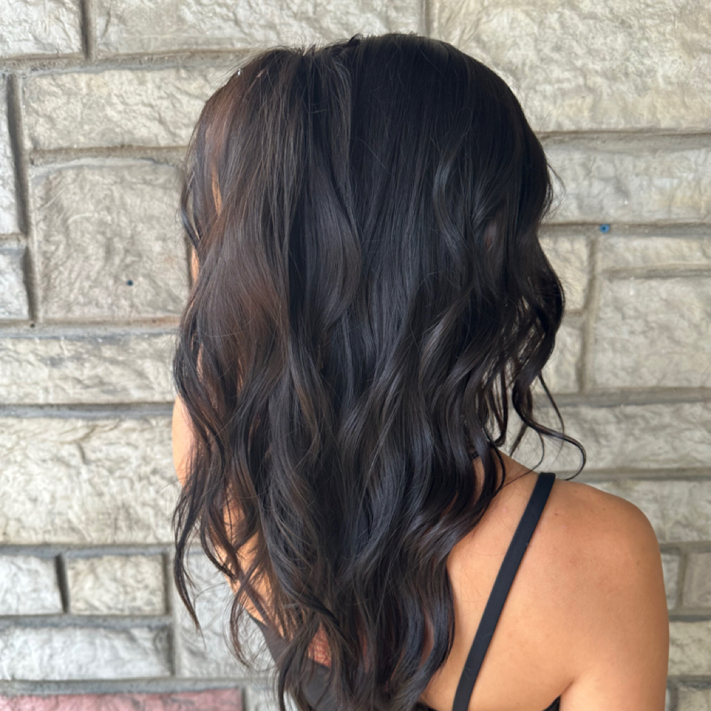 Root Touch Up at Champagne Joy in Morris, IL