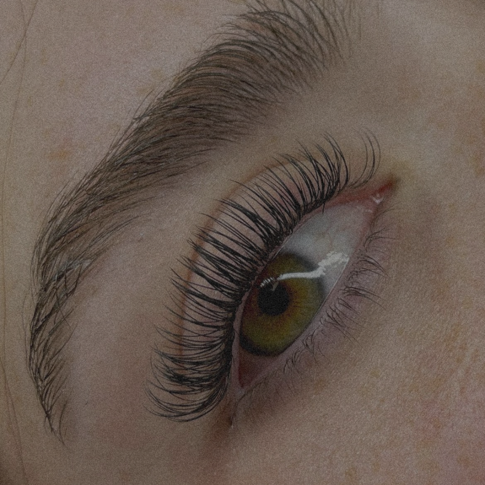 Classic Lashes - Full Set