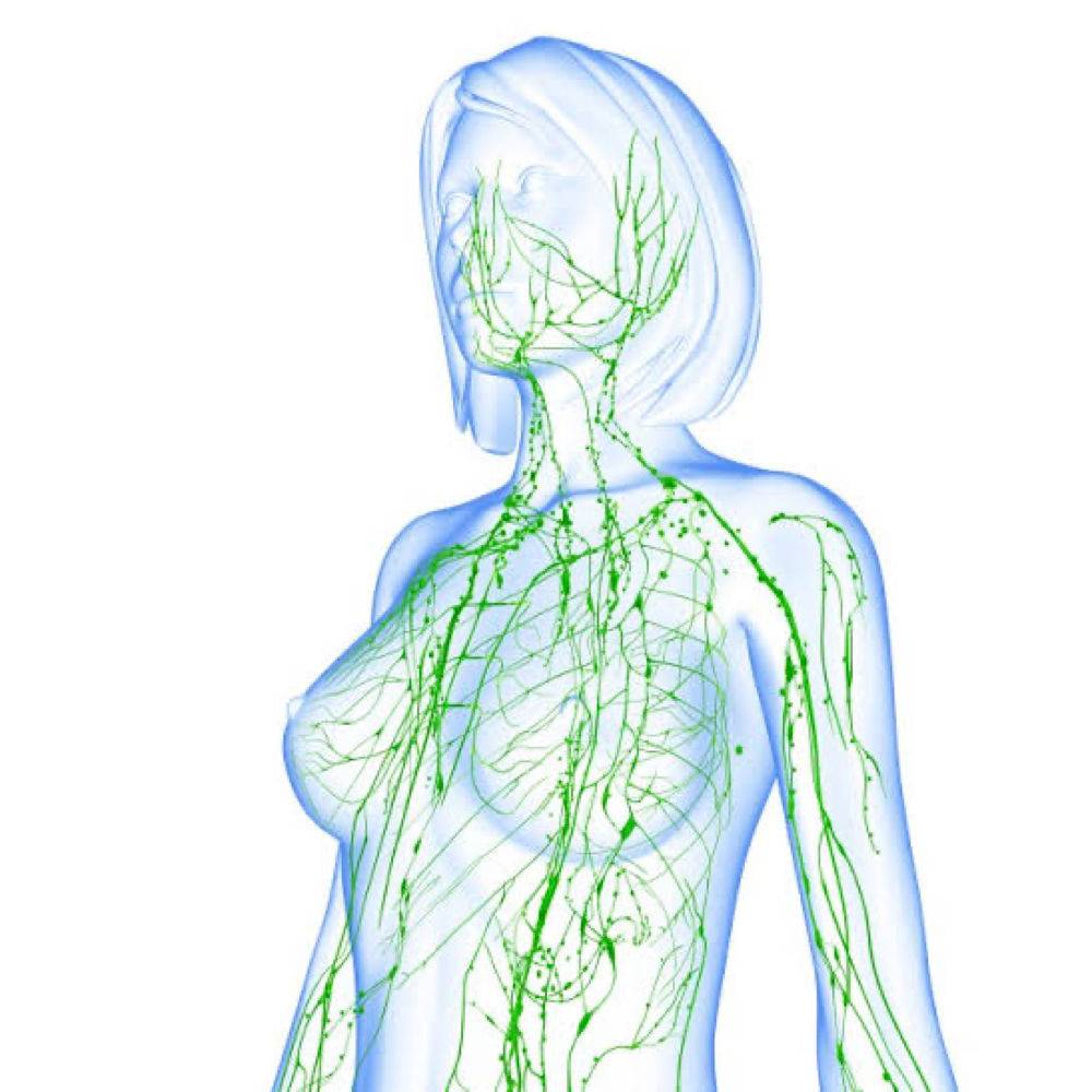 Lymphatic Massage & Foot Detox