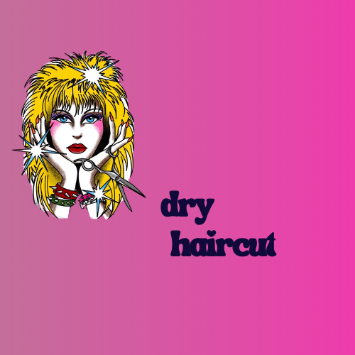 Dry Haircut Existing Clients Only!
