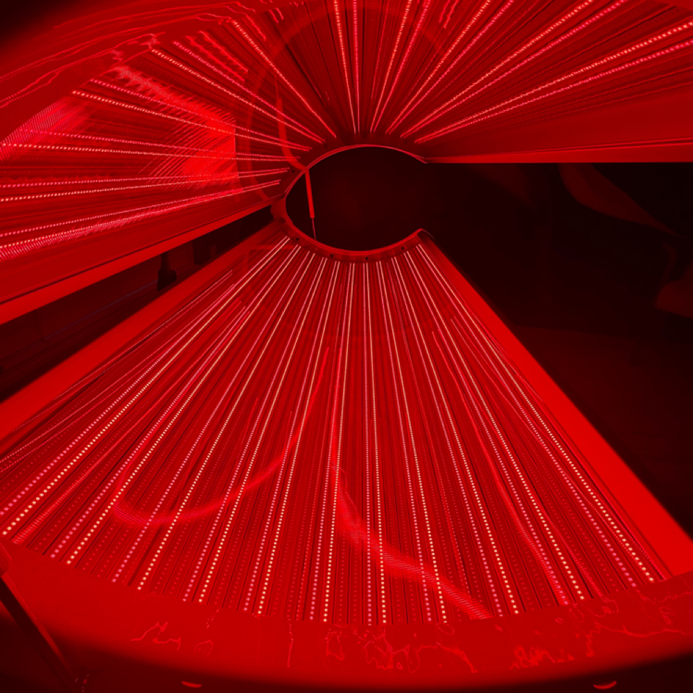 Single Session at Renu You Red Light Therapy in Magnolia, AR