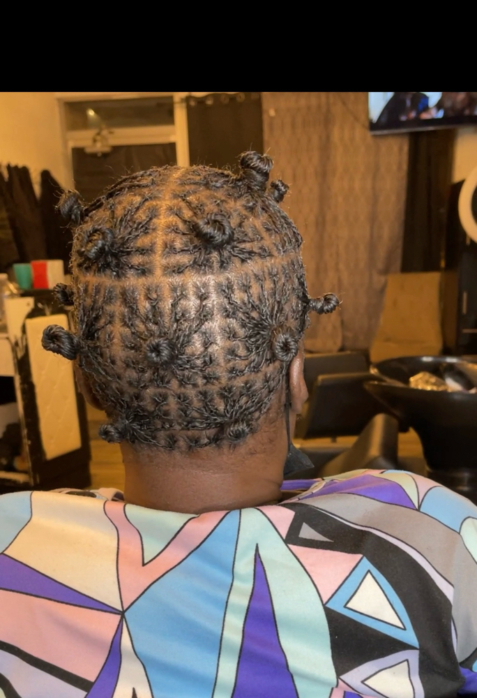 Starter Sister/Micro Locs