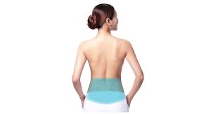 Back ( Lower)