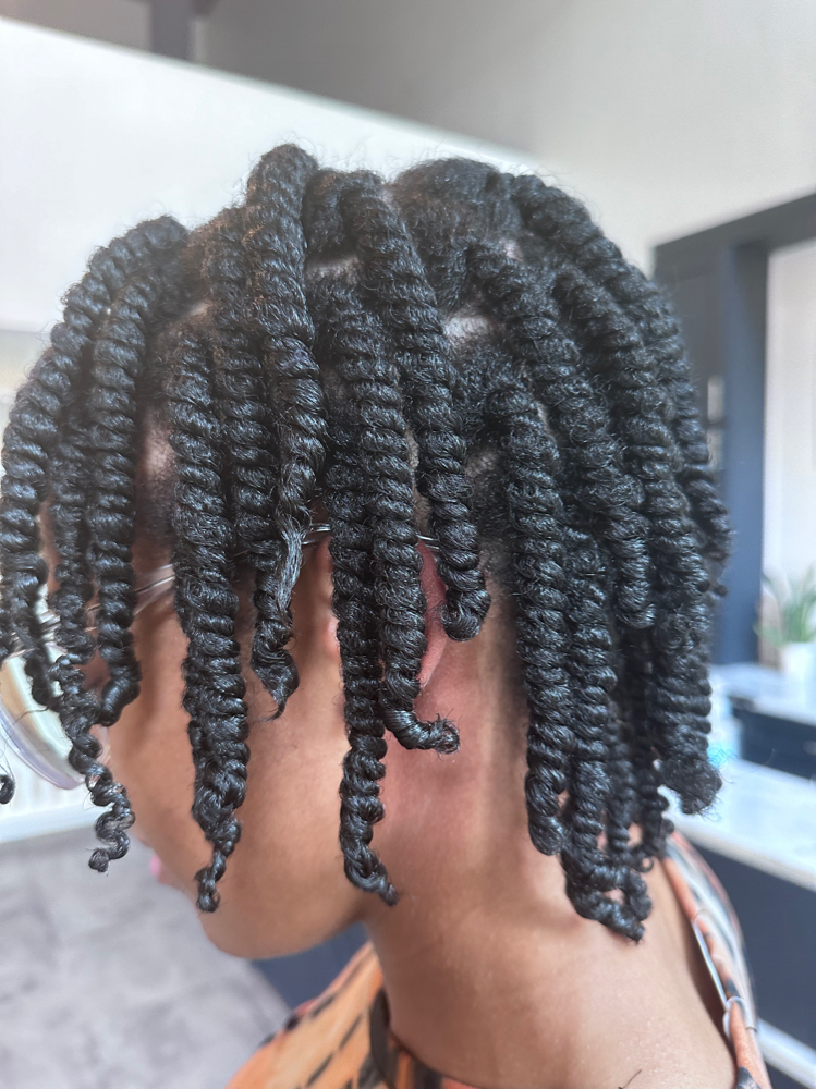 Two Strand Twists